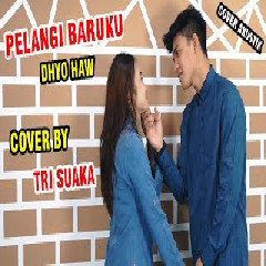 Tri Suaka Pelangi Baruku - Dhyo Haw (Cover) MP3