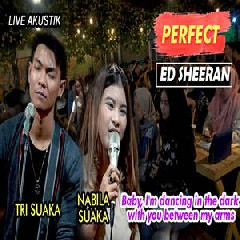 Nabila Suaka Perfect Ft. Tri Suaka (Cover) MP3