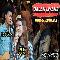 Nabila Suaka Dalan Liyane Ft. Tri Suaka (Akustik Cover) MP3