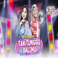 Lala Atila & Nizar Fahmi Tak Tunggu Balimu Ft Ageng Music MP3