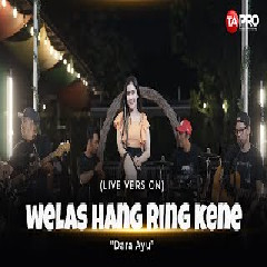Dara Ayu Welas Hang Ring Kene (Ska Koplo) MP3
