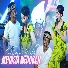 Lala Widy Mendem Wedokan Ft Sodiq New Monata MP3