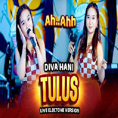 Diva Hani Tulus Electone Version MP3