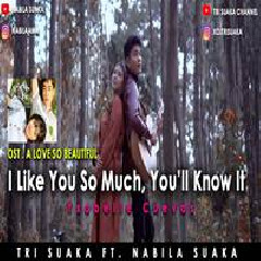 Nabila Suaka I Like You So Much Youll Know It (Cover Ft. Tri Suaka) MP3