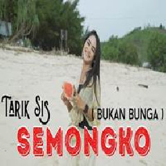 Safira Inema Dj Semongko Tarik Sis (Bukan Bunga) MP3