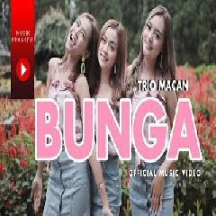 Trio Macan - Bunga